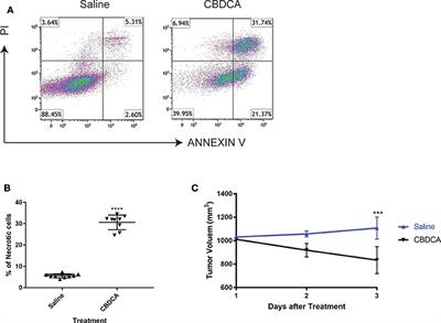 Therapy With Carboplatin and Anti-PD-1 Antibodies Before Surgery Demonstrates Sustainable Anti-Tumor Effects for Secondary <mark class="highlighted">Cancer</mark>s in Mice With Triple-Negative Breast <mark class="highlighted">Cancer</mark>